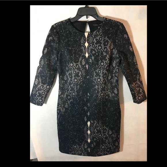 NWT Cynthia Steffe Kendall‎ Lace Print Scuba Knit Dress [SZ 8 ] - Picture 6 of 7